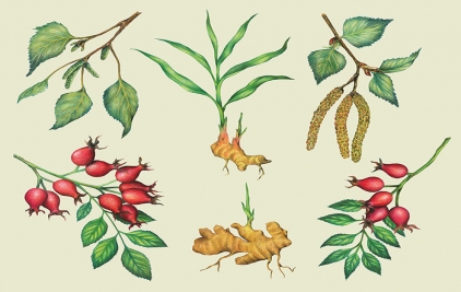 插畫風(fēng)格的植物營(yíng)養(yǎng)水包裝設(shè)計(jì)案例